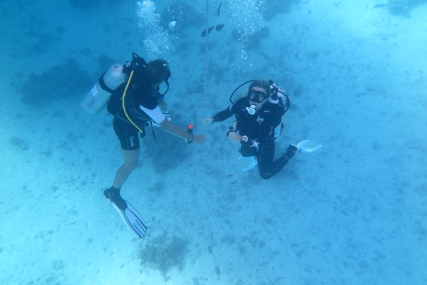 Master Diving Courses